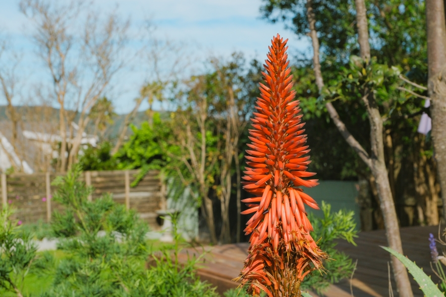 3 Bedroom Property for Sale in Knysna Heights Western Cape